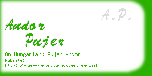 andor pujer business card